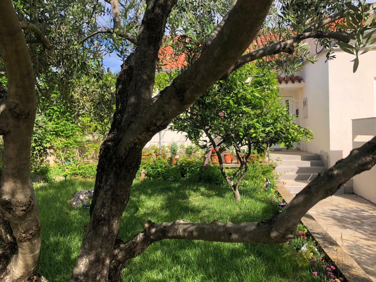 Roses Apartment Lukoran المظهر الخارجي الصورة