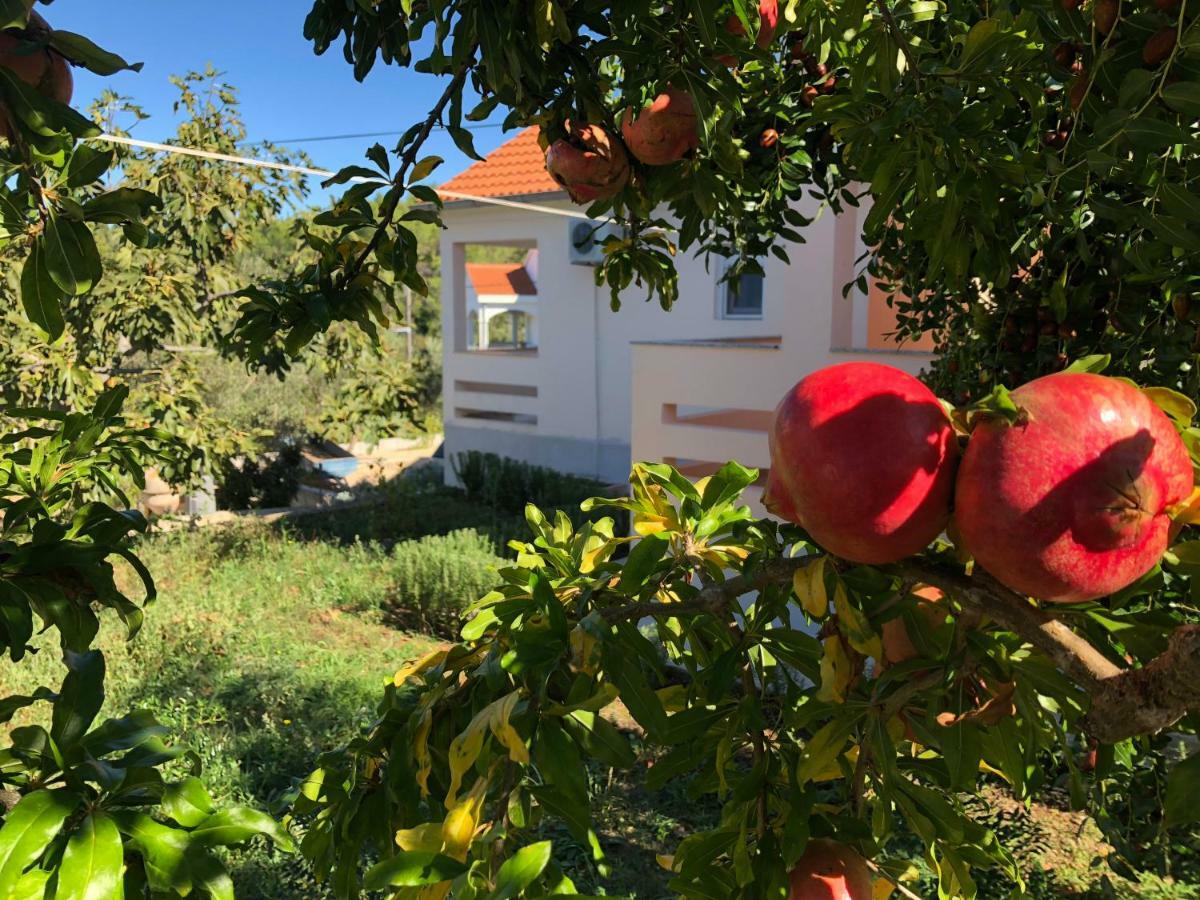 Roses Apartment Lukoran المظهر الخارجي الصورة